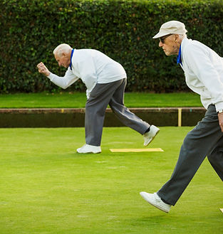 Bowls Game