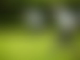 Tuross Head Men’s Bowls