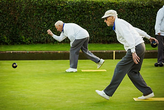 Bowls Game