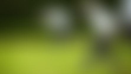 Quelle part de ses revenus allouer chaque mois pour sa retraite ?