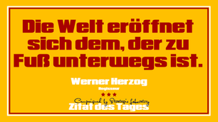 Zitat des Tages | № 419