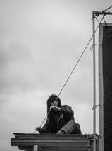 IMG_0469