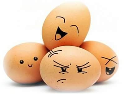 Gamme végétarienne !