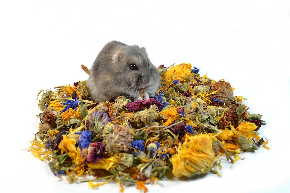 Miniature : Fleurs