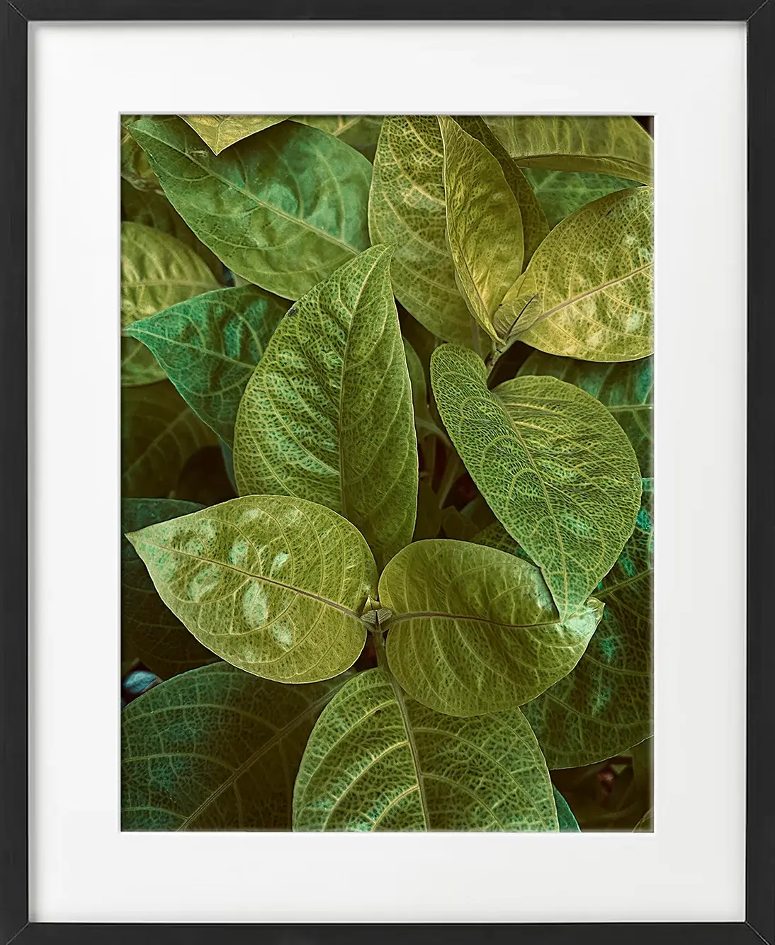Green veins