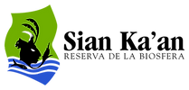 SianKaanLogo-Transparent.png