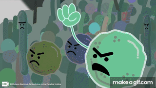 z9H2E-.gif