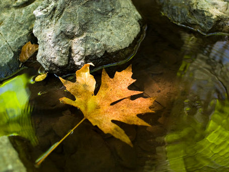 Compassionate Boundaries