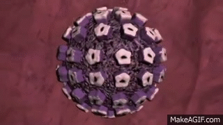 wOioNd.gif