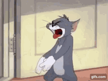 tom-and-jerry-cat.gif
