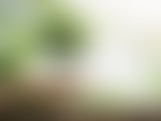 Self-Esteem and the Denial of Death