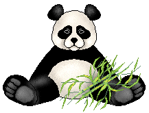 a-panda.gif