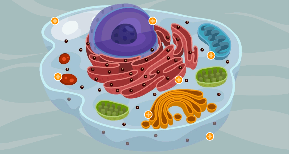 b07246976c7603e4e2f190f056b4e293.gif