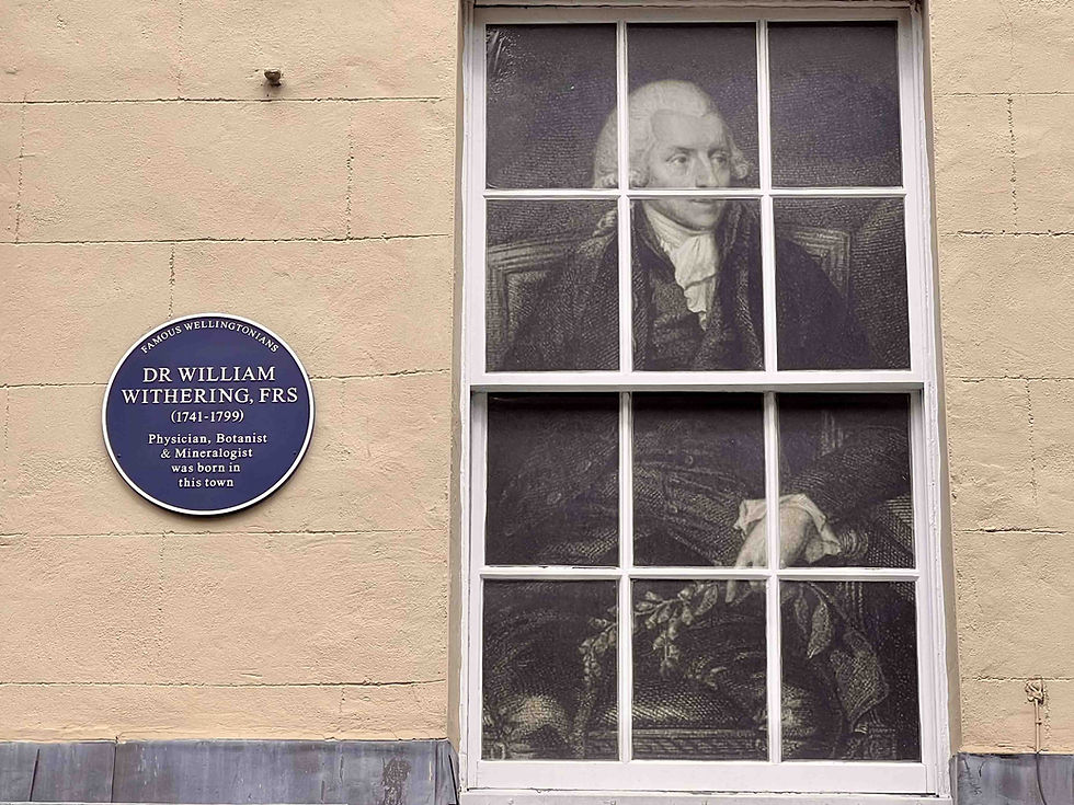 9. A walk around Withering’s Wellington