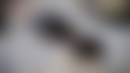 - La Terre du Milieu - Septembre 2022 -