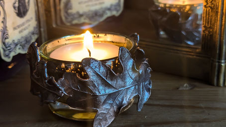 La lumière du bois sylvestre - Janvier 2025 -