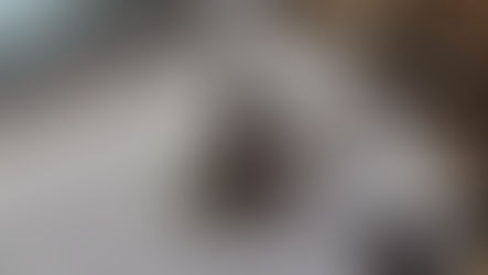 - Les légendes de Bordeciel - Janvier 2022 -