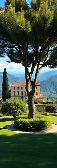 italian landscape luxury.jpg