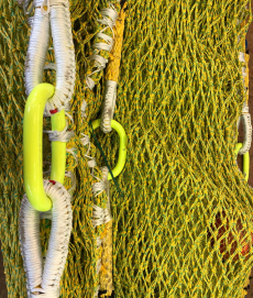 WhatsApp Image 2026-01-27 at 15.37.300 1