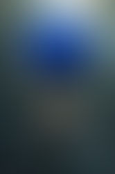 Refining, Redesigning, and Redefining A Role