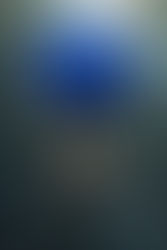 Refining, Redesigning, and Redefining A Role