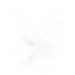 LOGO Brera 108px.png