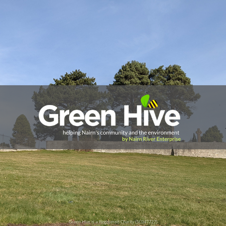 Spring has Sprung at Green Hive this April 💐