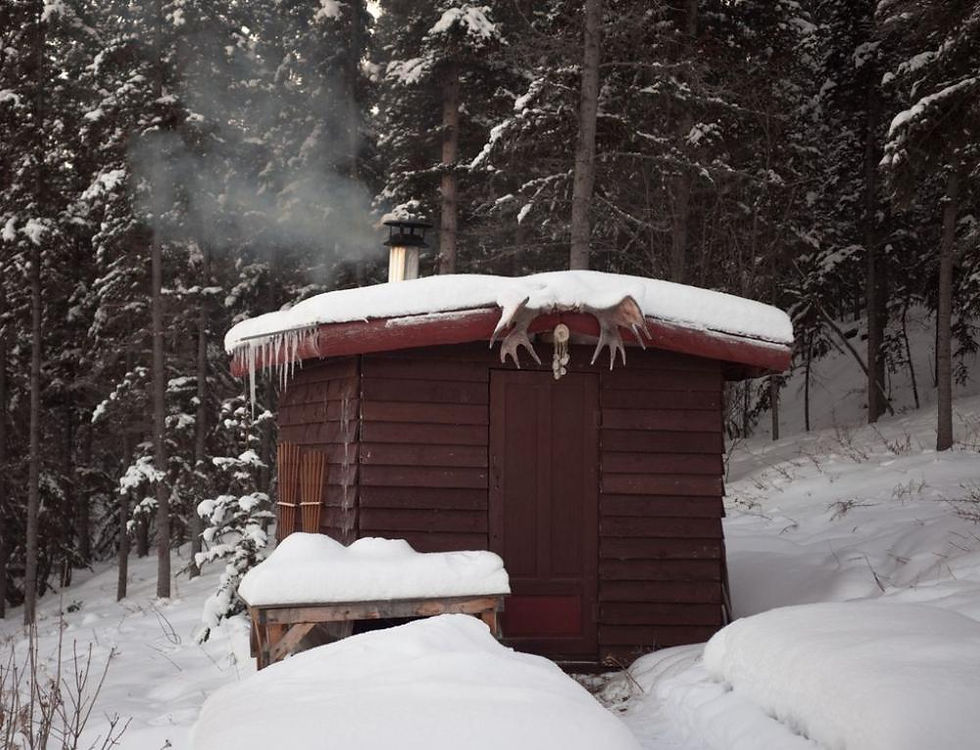 Norwegian Sauna