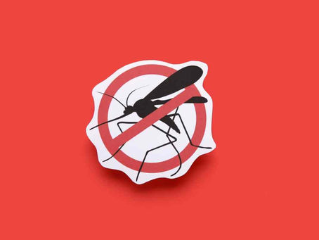 Die überraschende Wahrheit über Mücken in Island