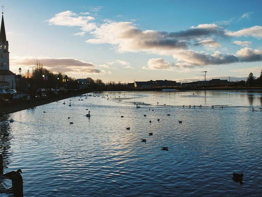 Guide to Iceland in November: Things to do in Iceland in November