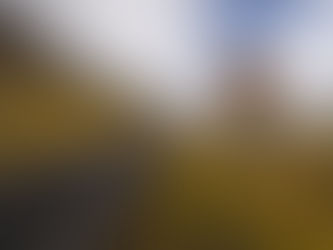 ISLANDS VEJSKILTE OG SÆRLIGE FORHOLD