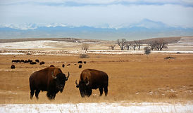RV rental in Denver 1.jpg