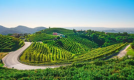 Campervan Hire Italy 2.jpg