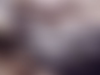 MUST-SE ISLAND VIKING SITES; AFSLØRING AF ISLANDS VIKINGEARV