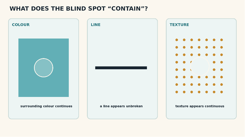 Three blind-spot examples show surrounding colour continuing, a line appearing unbroken and repeated texture appearing continuous across a missing retinal region.