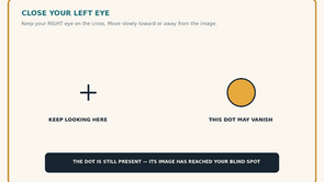 Your Blind Spot Explained: The Hole in Vision You Never Notice