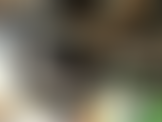 Effective Vehicle Maintenance Services for Longevity