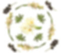 Blanca De Mexico CALIQ | Luxury Home Fragrances Candles, Diffussers & Oils