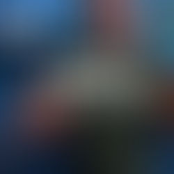 קבלו 5 שלבים לטיפול במתעניינים 🫵