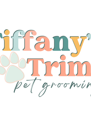 Youโre Invited! โ๏ธ๐ถ