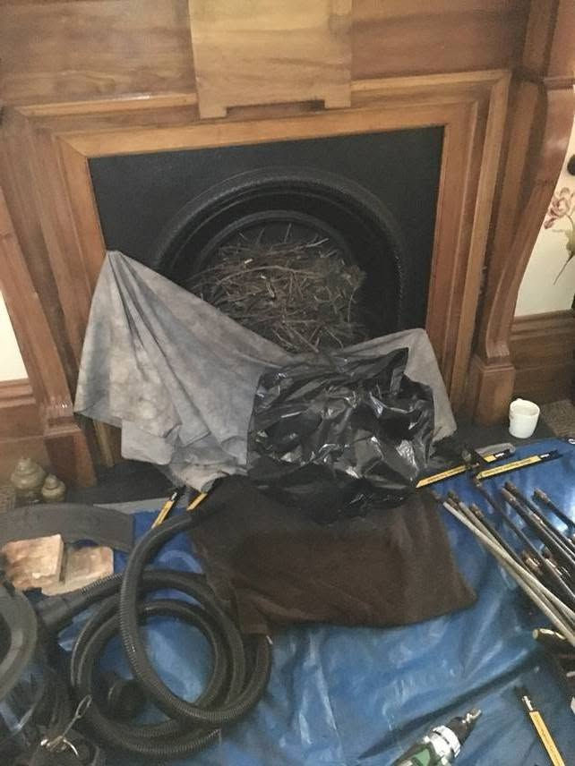NACS Bird nest with kit.jpg