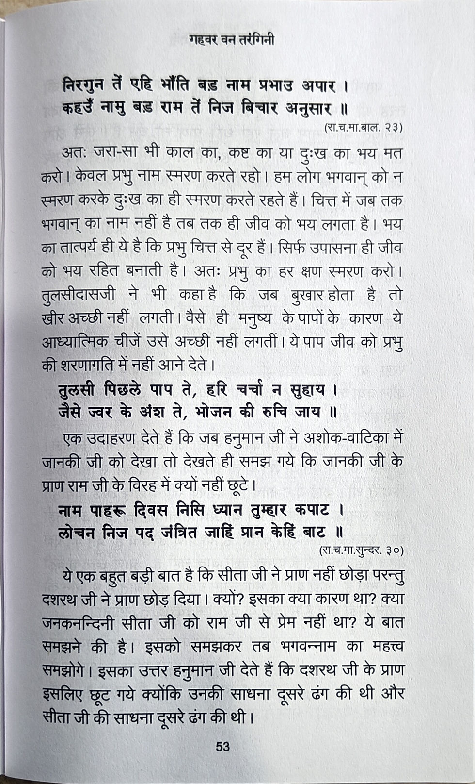 Thumbnail: Gahvarvan Tarangini  गहवर वन तरंगिनी