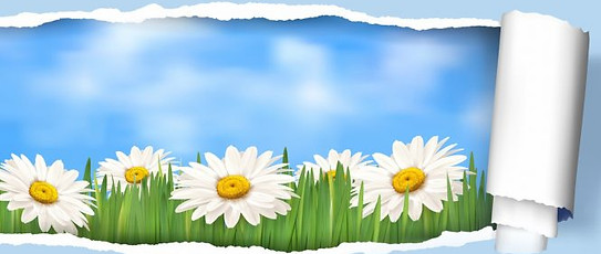hd-nature-wallpapers-natural-flowers-lan