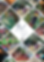 Pathdeep Summer Camp 2025