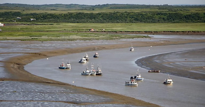 Screenshot 2023-07-20 at 9.41.20 AM.png