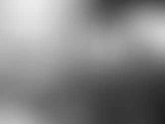 PROBABLEMENTE NUEVOS PERMISOS PARA VENDEDORES AMBULANTES EN NUEVA YORK