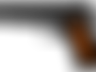 NIÑO DE 8 AÑOS SE DISPARA ACCIDENTALMENTE EN LA CABEZA EN EL BRONX