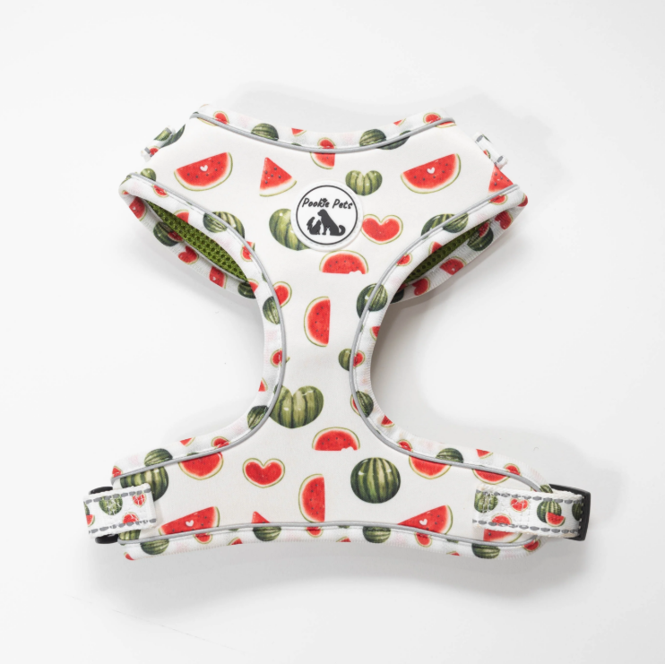 Watermelon - Adjustable Harness