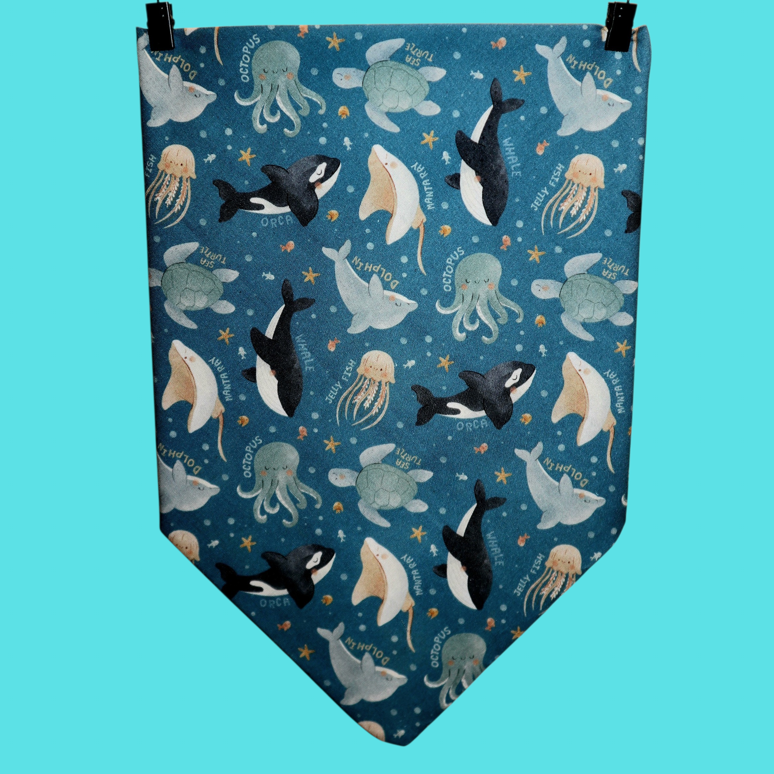 Ocean Paradise
