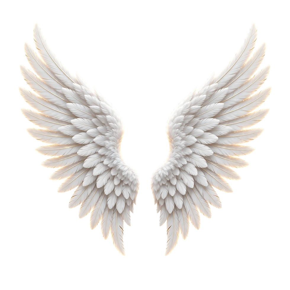wings_transparent_final.png